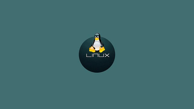 解决WSL中的网络互通问题 实现主机与Linux子系统间的无缝连接 的封面图